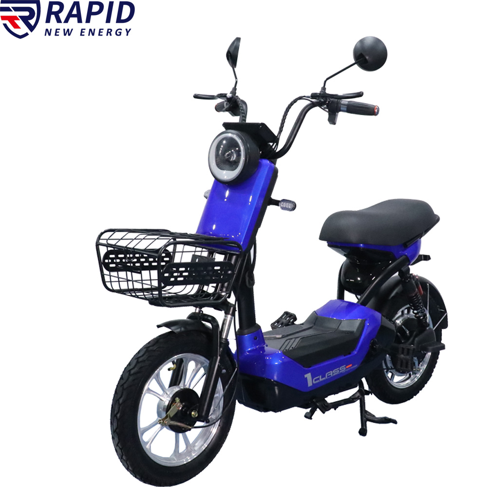 YTYIN Bicicletta Elettrica Eco - Scooter Electric recensione e prezzo
