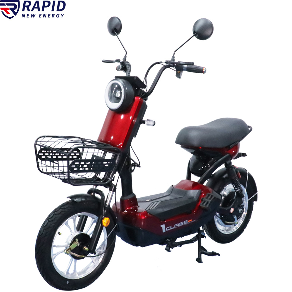 YTYIN Bicicletta Elettrica Eco - Scooter Electric recensione e prezzo