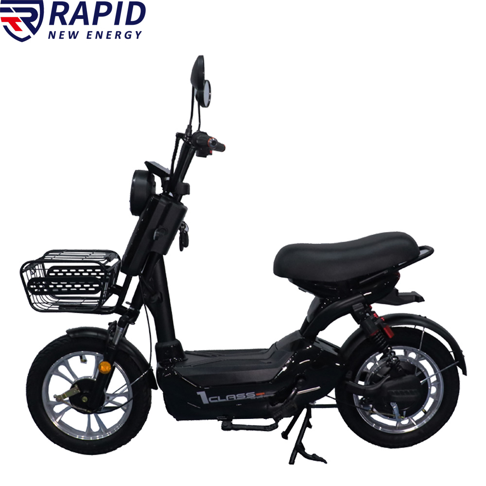 YTYIN Bicicletta Elettrica Eco - Scooter Electric recensione e prezzo