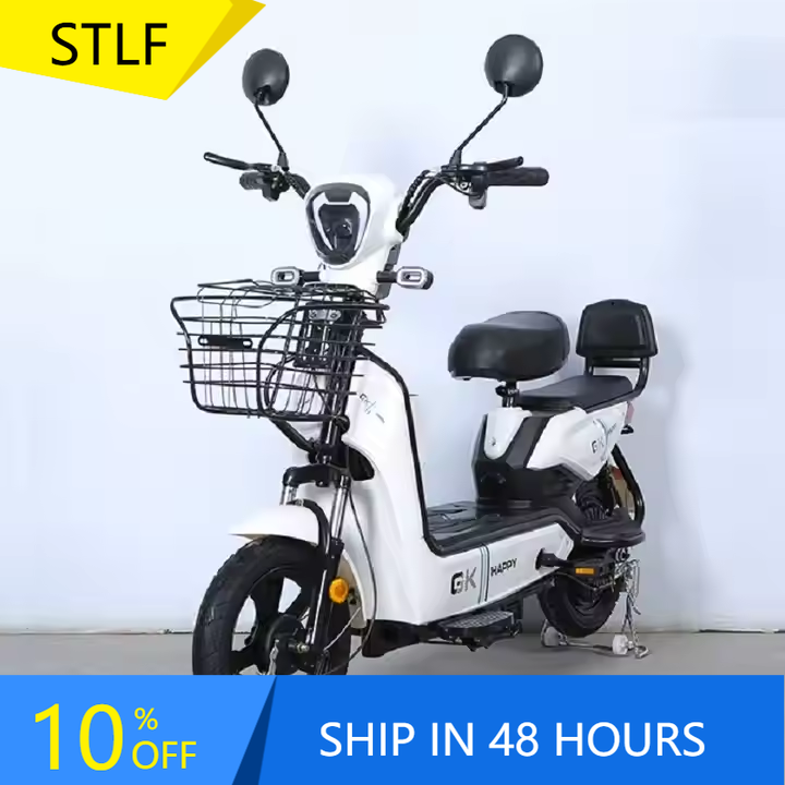 YTYIN Bicicletta Elettrica da  - Folding Electric Scooter recensione e prezzo