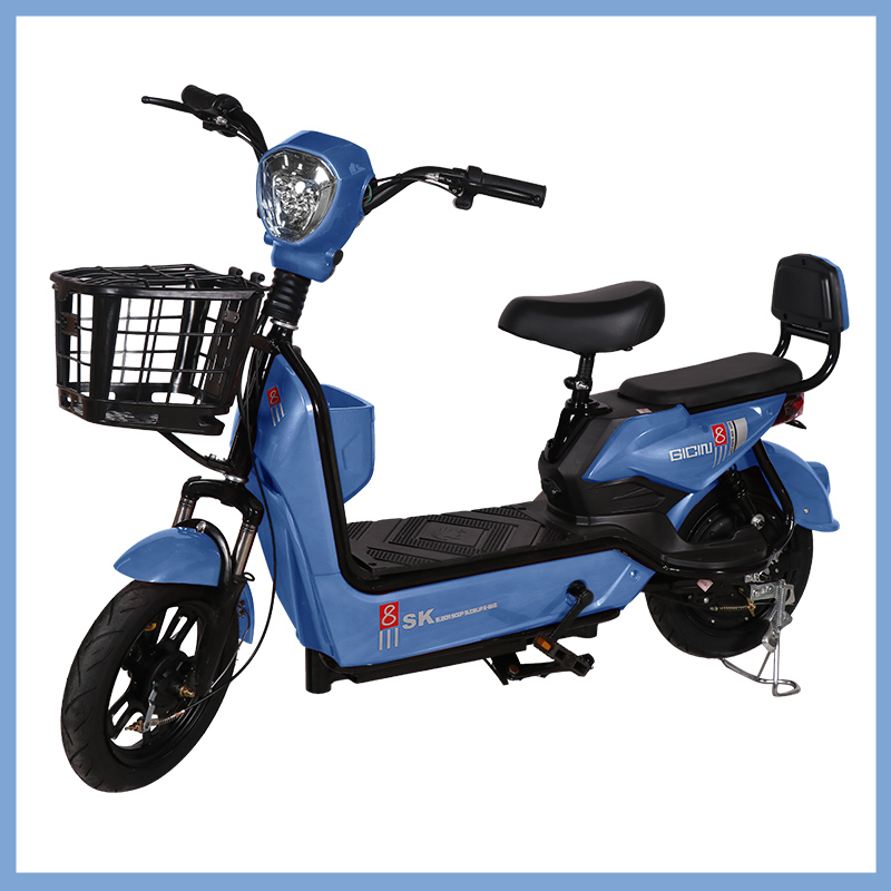 YTYIN Bicicletta Elettrica da  - Folding Electric Scooter recensione e prezzo