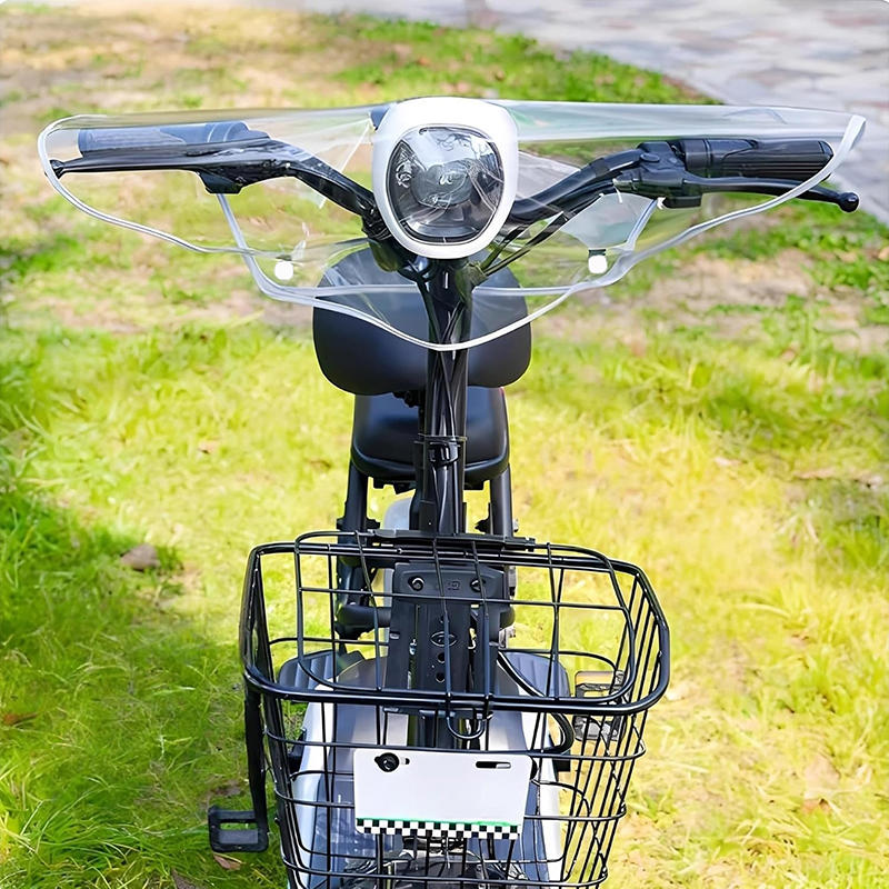 1 Pezzo Copertura Antipioggia  - Scooter Electric recensione e prezzo