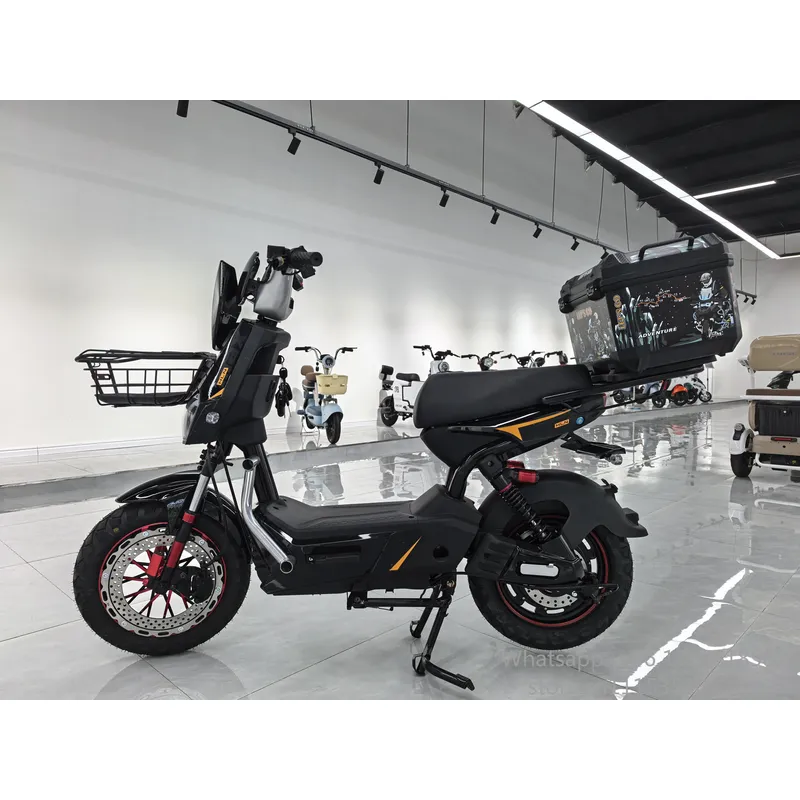 Monopattino Elettrico 60V Bici - Electric Scooter Adults recensione e prezzo