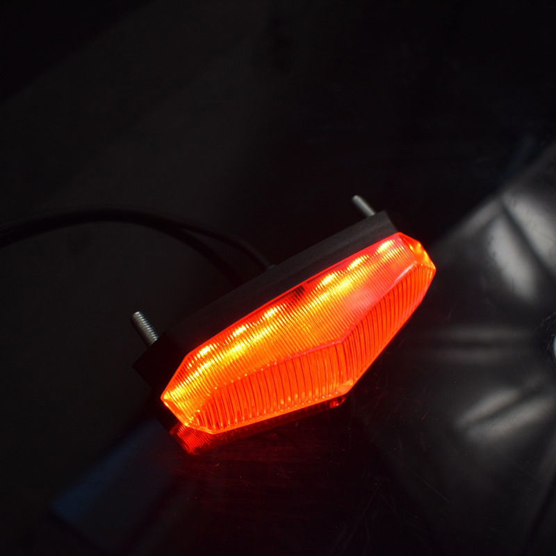 Nuove Luci Posteriori LED 12V- - Scooter Electric recensione e prezzo